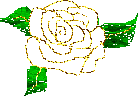 rose 72