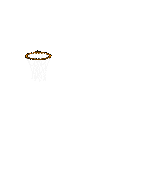basket 49