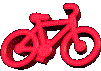 biciclette 12