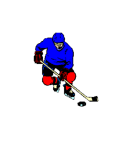 hockey 28