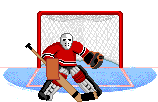 hockey 31