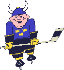hockey 36