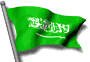 bandiera arabia 11