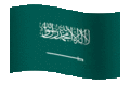 bandiera arabia 15