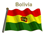 bandiera bolivia 11