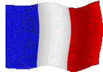 bandiera francia 28