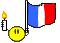 bandiera francia 8