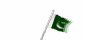 bandiera pakistan 2