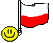 bandiera polonia 2