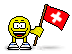 bandiera svizzera 8
