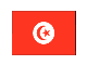 bandiera tunisia 11