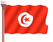 bandiera tunisia 16