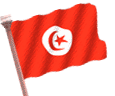 bandiera tunisia 17