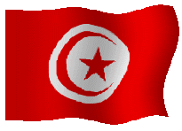 bandiera tunisia 21