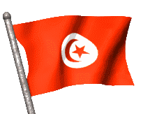 bandiera tunisia 22