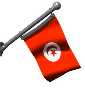 bandiera tunisia 23
