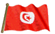 bandiera tunisia 6