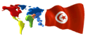 bandiera tunisia 9