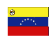 bandiera venezuela 11