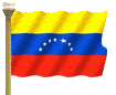 bandiera venezuela 15