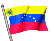 bandiera venezuela 22
