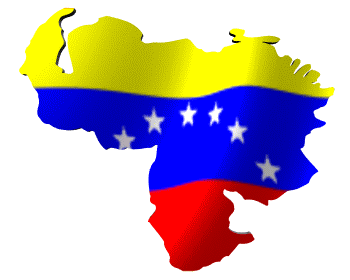 bandiera venezuela 24