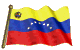 bandiera venezuela 5