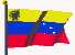 bandiera venezuela 6