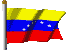 bandiera venezuela 8