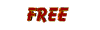 icona free 18