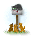 icona mail gatto 13