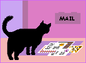 icona mail gatto 14