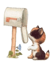 icona mail gatto 19