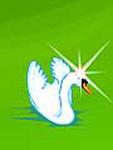 Design swan1