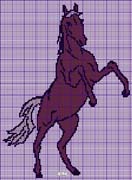 Schema punto croce Cavallo Impennato