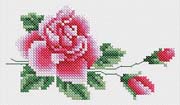 Schema punto croce Rosa rosa