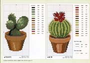 Schema punto croce Cactus Bonsai