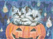 Schema punto croce gatti halloween