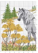 Schema punto croce Cavallo-1