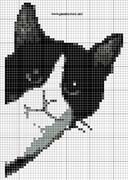 Schema punto croce Testa-gatto