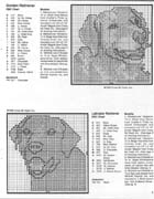 Schema punto croce Labrador