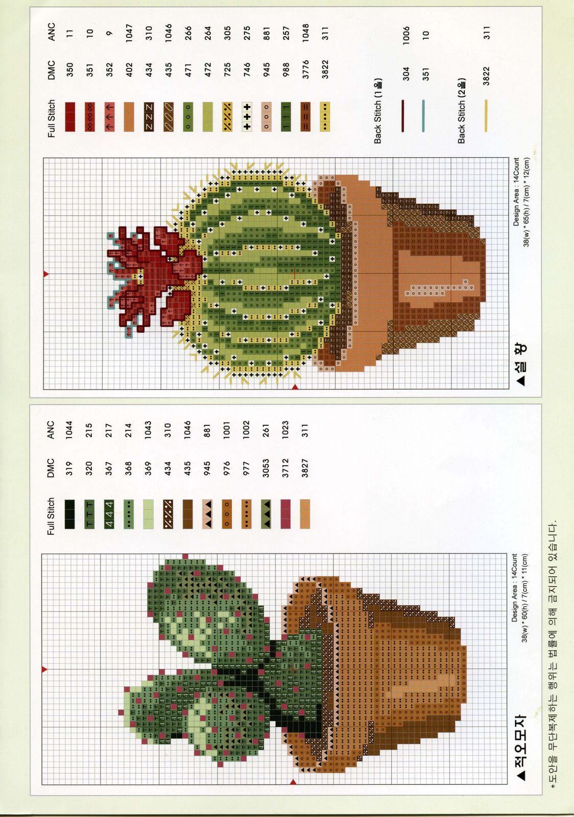 Schema punto croce Cactus 5