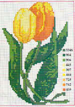 Schema punto croce Fiori tulipani 2
