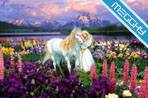 Sfondo 279 Varie