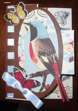 Album della categoria Altri Hobby