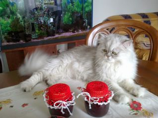 Copribarattoli a uncinetto con l'ospite