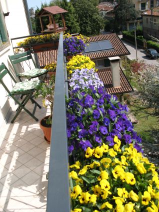La mia terrazza al 02.04.2012