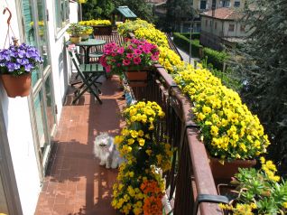 Terrazza Aprile in fiore