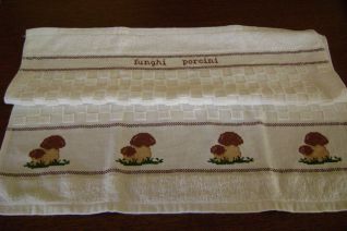 Strofinaccio con funghi porcini