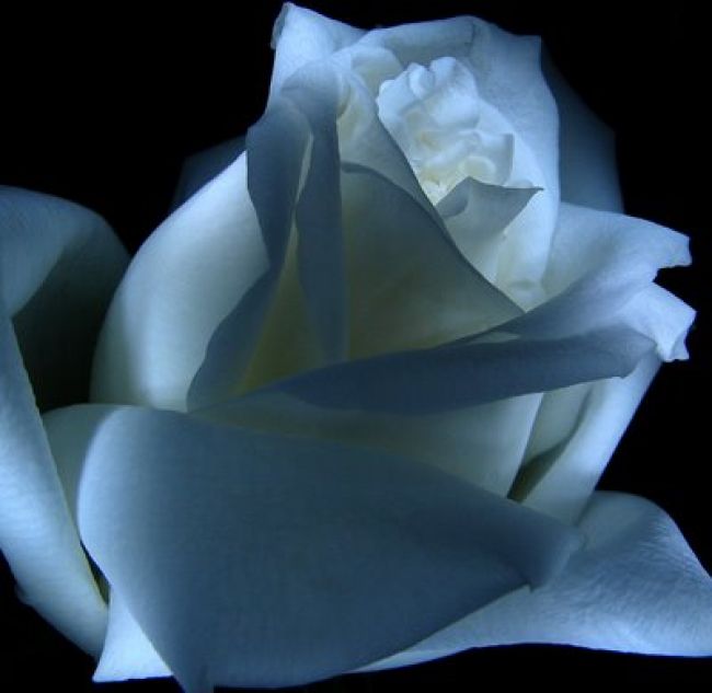 immagine Copertina di Cix